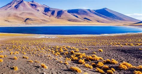 Desert d'Atacama 2020 : Les 10 meilleures visites et activités (avec ...