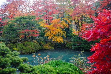 Nikko, Japan at the Shinkyo Bridge Over the Daiwa River in Autumn SeasonNikko, Japan at the ...