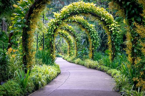 The Singapore Botanic Gardens is a 160-year-old tropical garden located at the fringe of Singa ...