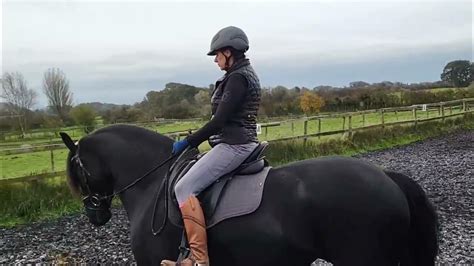 Friesian horse doing BD Intro C and being groomed. Winter work also ...