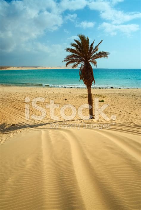 Beach of Boa Vista, Cape Verde Stock Photos - FreeImages.com