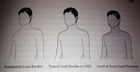 Effects of Lead Contamination - Clair Patterson's Crusade Against ...