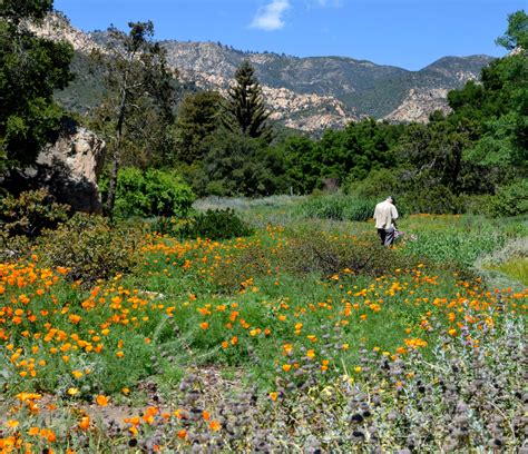 Frequently Asked Questions - Santa Barbara Botanic Garden