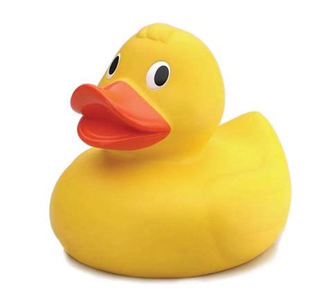 Rubber Duck HQ Image Free PNG Transparent HQ PNG Download | FreePNGImg