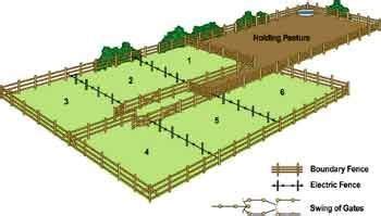 Rotational grazing is another way to help let the grass recover. By ...