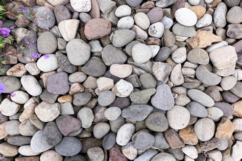 3 Types of Decorative Rocks That Will Elevate the Look of Your Yardspace - Southern Landscaping ...