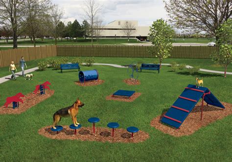 Intermediate Dog Obstacle Course