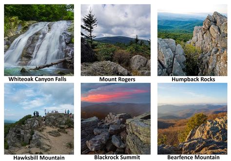 20 of the Best Hiking Trails in Virginia - Flavorverse