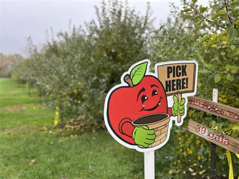 Best Places for Apple Picking Near Chicago – 2024 Guide - Chicago Parent