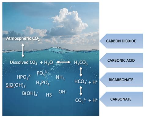 Ocean Acidification - pH sensing in seawater | ANB Sensors