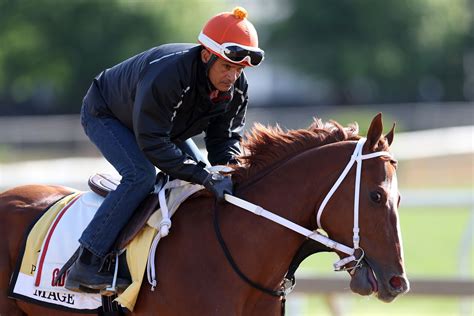 Preakness Stakes 2023: Odds, horses, complete bettor's guide