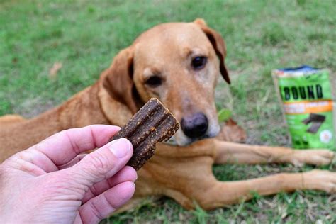 Review: ABOUND Dog Treats