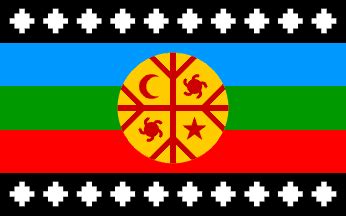 Mapuche Flag | South american flags, Flag, Apocalypse world