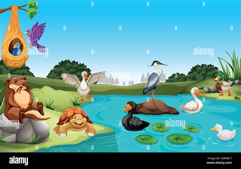 Many animals living by the pond Stock Vector Image & Art - Alamy