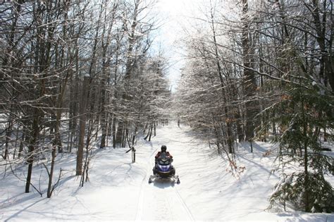 Forest County snowmobile trails now open – Northeast WI Publishing Inc.