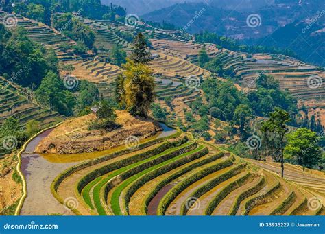 Rice Terraces Of Yuanyang, Yunnan, China Royalty Free Stock Photography - Image: 33935227