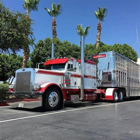 Semitrckn — Peterbilt custom 379 bull hauler