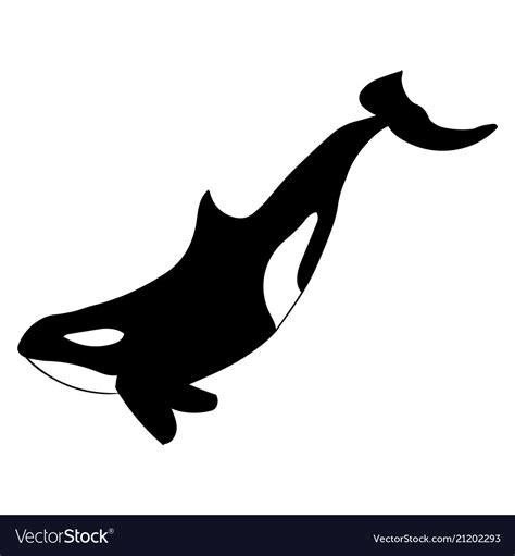 Orca whale silhouette Royalty Free Vector Image