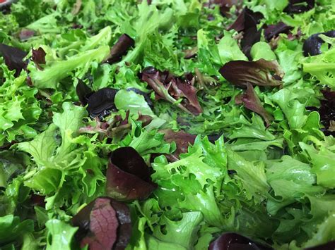 Lettuce Mix Salad Greens – Access Acres