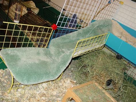 Easy Ramps, #05 - Guinea Pig Cages