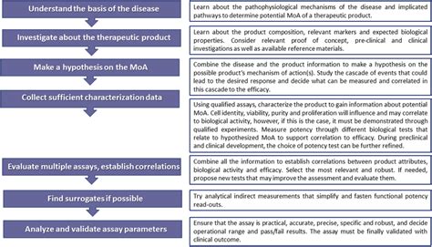 Steps in the development of a potency assay | Download Scientific Diagram