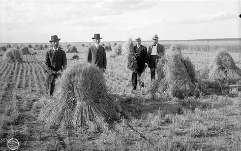 Dry Farming in Wyoming | WyoHistory.org