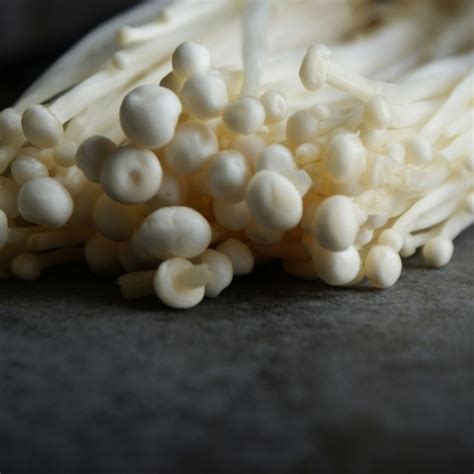 Enokitake (Enoki) – Garden Frutta