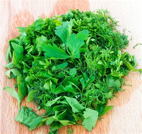 Parsley herb stock photo. Image of leaf, cook, health - 25405468