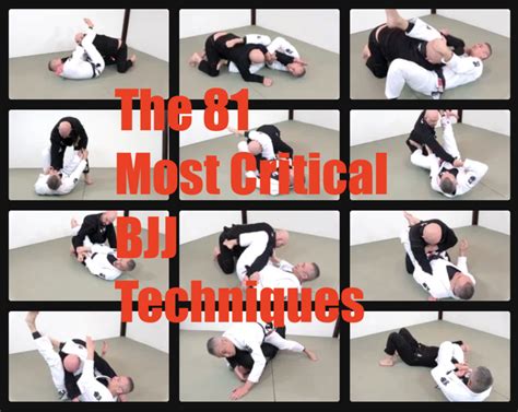 The 81 Most Critical BJJ Techniques And The Principle That Rules Them ...