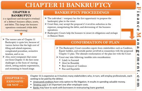 Chapter 11 Bankruptcy - Proceedings, Success Rate, Misconceptions | eFM