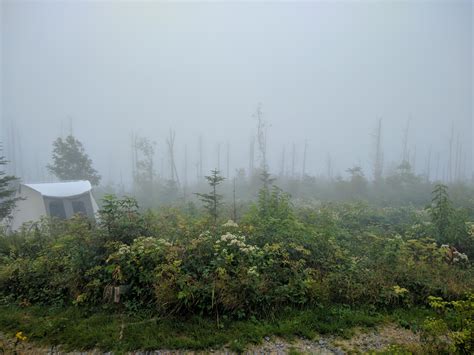 Mt. Mitchell State Park, NC : r/camping