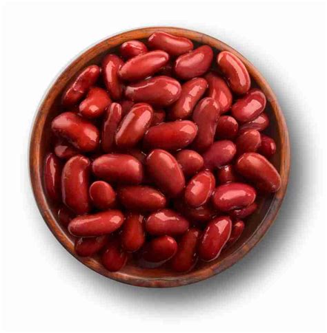 Kacang merah - IlmuBudidaya.com