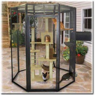 Indoor Cat Cages Enclosures - Foter