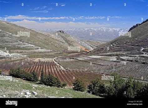 Niha, Bekaa valley, Lebanon Stock Photo, Royalty Free Image: 27081585 ...