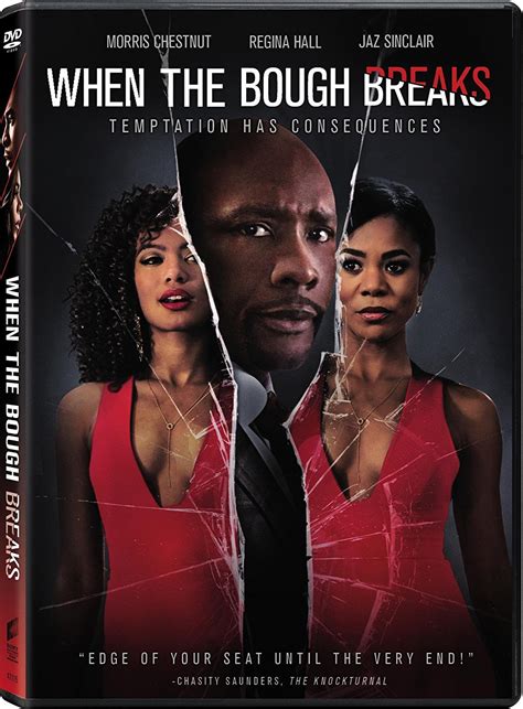 When the Bough Breaks DVD Morris Chestnut, Regina Hall | eBay