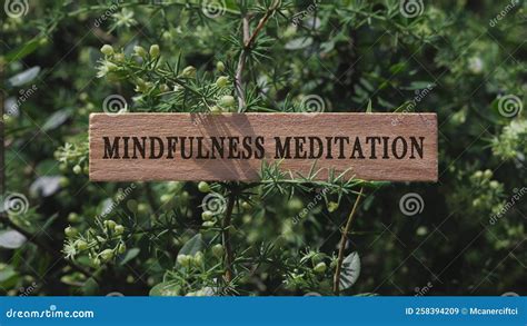 Mindfulness Meditation. Written on Wooden Surface. Background Tree ...