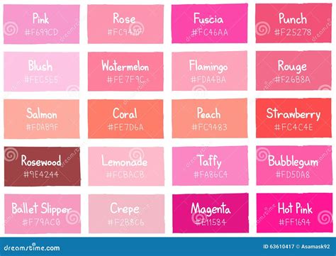 Pink Tone Color Shade Background With Code And Name Stock Vector ...