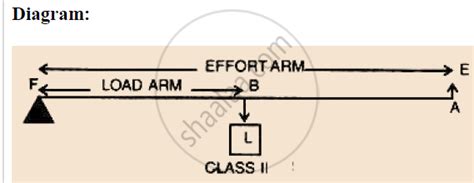 Draw a Diagram of a Lever Which is Always Used as a Force Multiplier. How is the Effort Arm ...