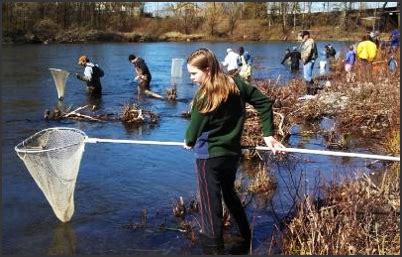 Lack of Funding Hampers Management of Columbia River Eulachon, a Threatened Species | Northwest ...