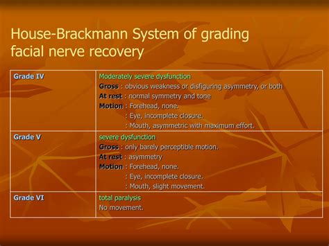 PPT - The Facial Nerve PowerPoint Presentation - ID:180136