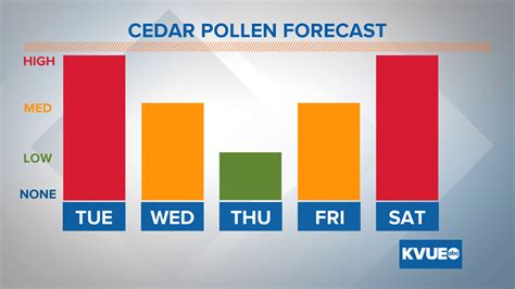 Allergy Alert: Cedar pollen count to stay high through Tuesday | kvue.com