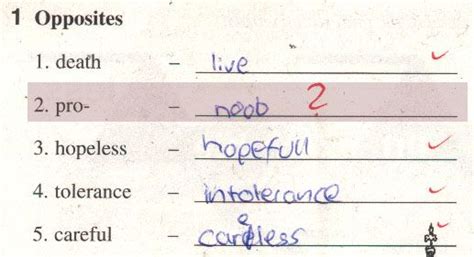 Pro Vs Noob :: Funny Exam-answers :: Funny Tab