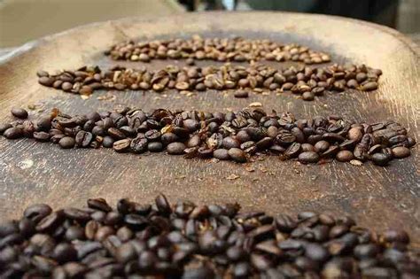 30 Best Whole Coffee Beans Ranked (2022) - Coffee Informer