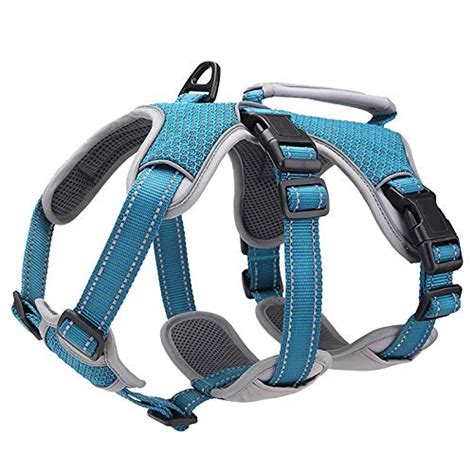 Best Escape Proof Dog Harness