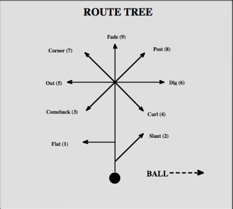 Estándar bala Tiza arbol de rutas futbol americano prueba farmacéutico Definición