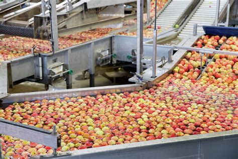 Apples being washed and graded in fruit processing plant - Stock Photo ...