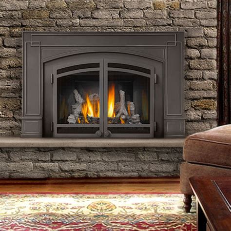 Napoleon Gas Fireplace Inserts – Patio Palace