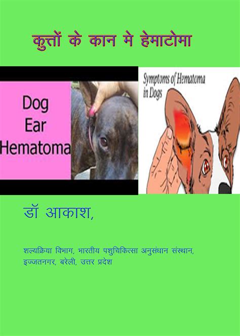 What Is A Hematoma In A Dog