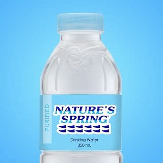 Nature's Spring Purified Water 350 mL | Shopee Philippines