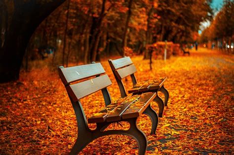 70,000+ Free Autumn & Fall Images - Pixabay